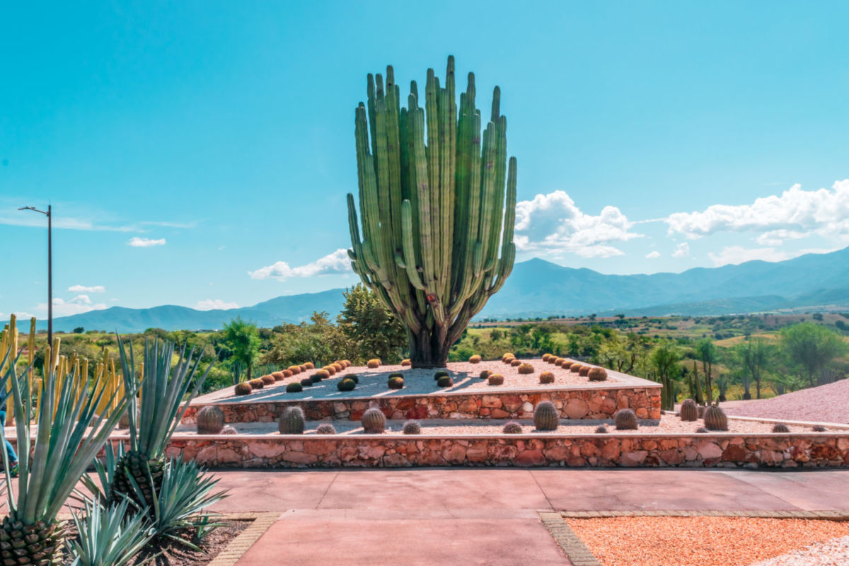 5 lugares bonitos a 2 horas de CDMX con menos contaminación (para darle un respiro a tus pulmones)