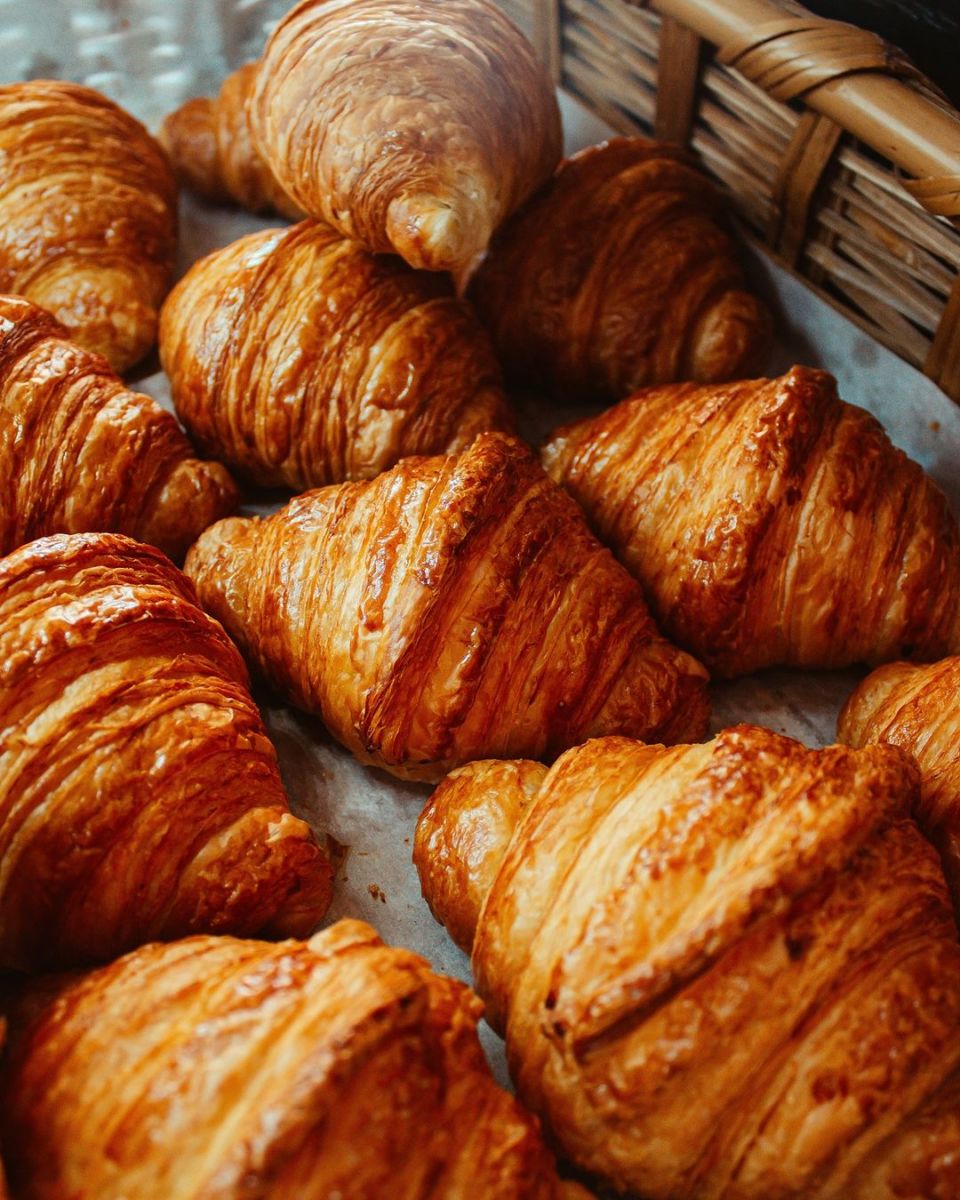 panaderías colonia roma