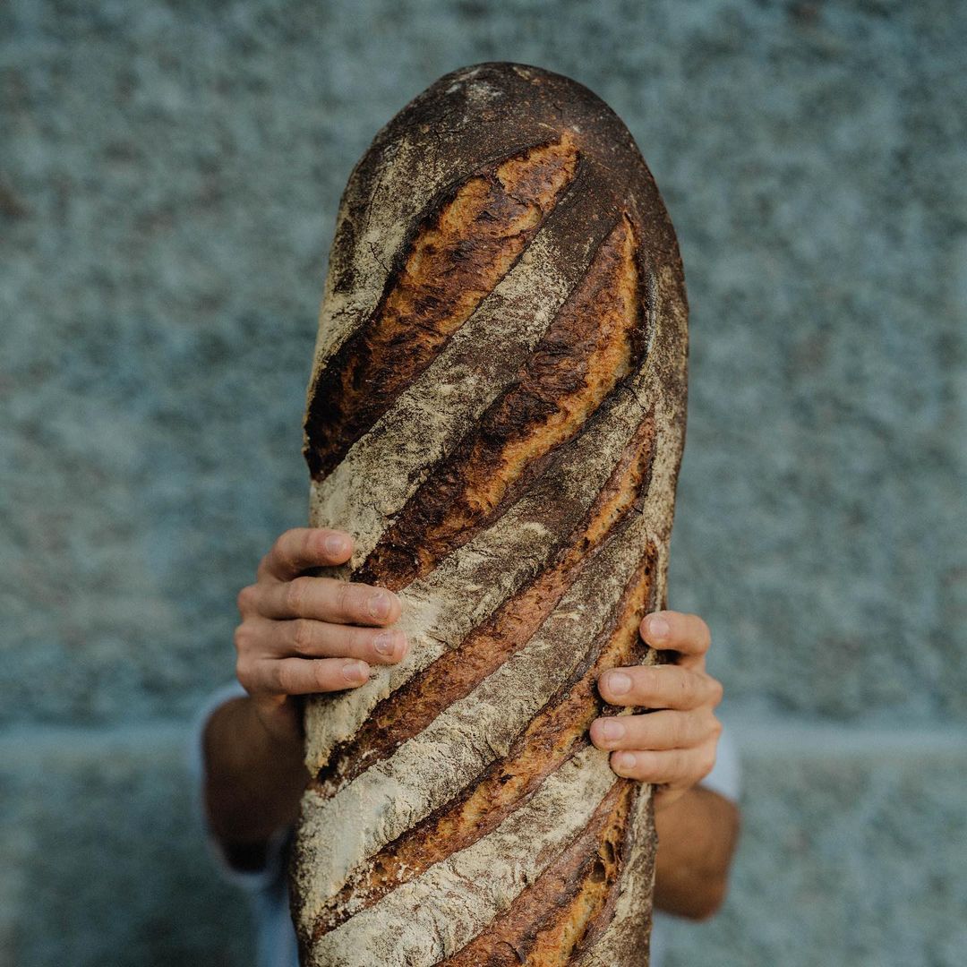 masa madre colonia roma