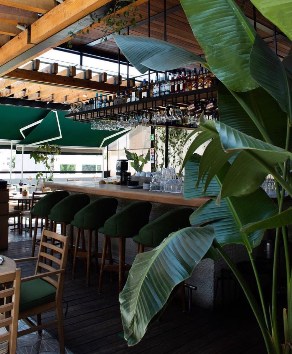 rooftop en la roma
