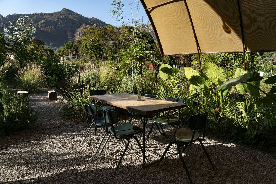 Mesas rodeadas de plantas en Parcela