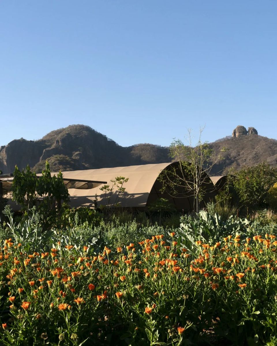 Restaurante en medio de un huerto
