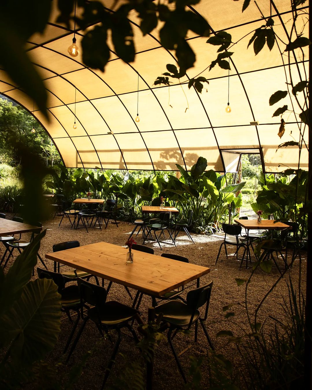 Restaurante sustentable en Tepoztlan