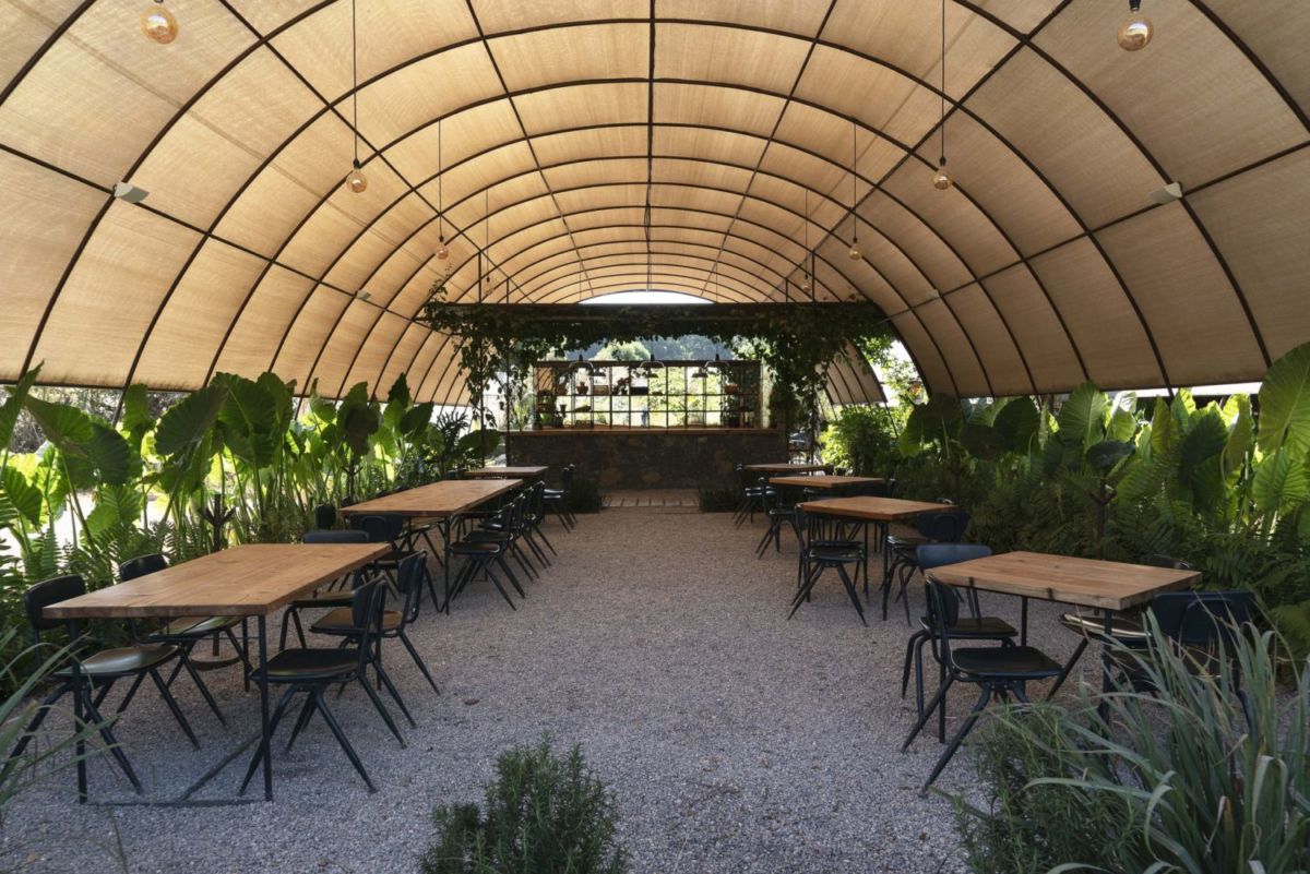 Parcela: El restaurante escondido en medio de una huerta en Tepoztlán (comerás como nunca ahí)