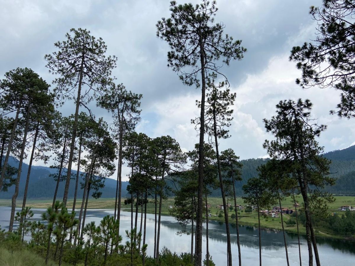 Lugares con aire fresco cerca de CDMX