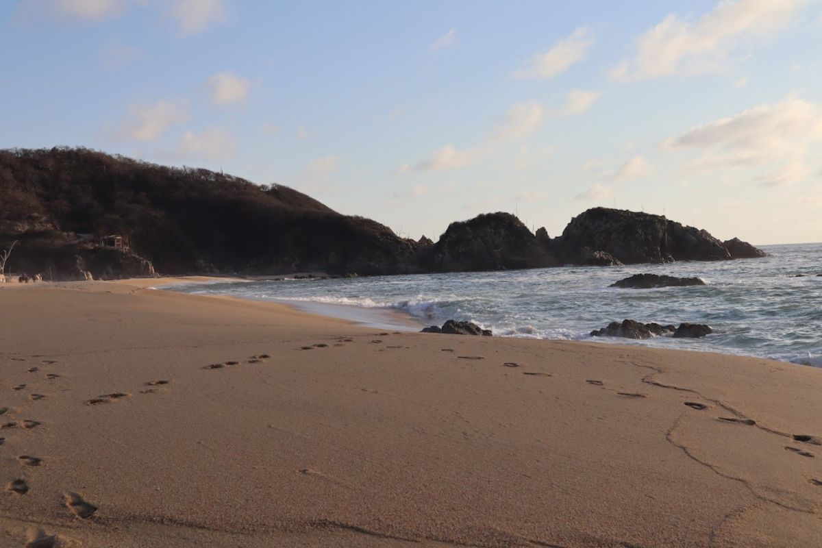 playas en México para liberar tortugas marinas