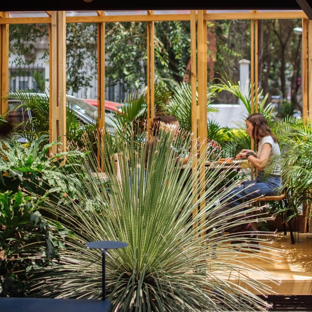 restaurantes para comer en la roma