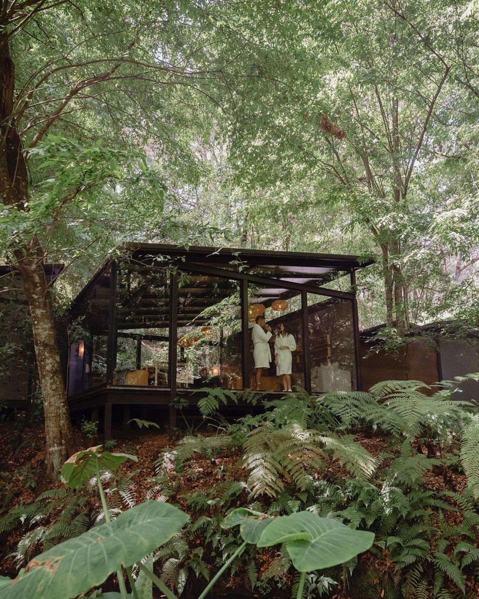 Spa en medio del bosque