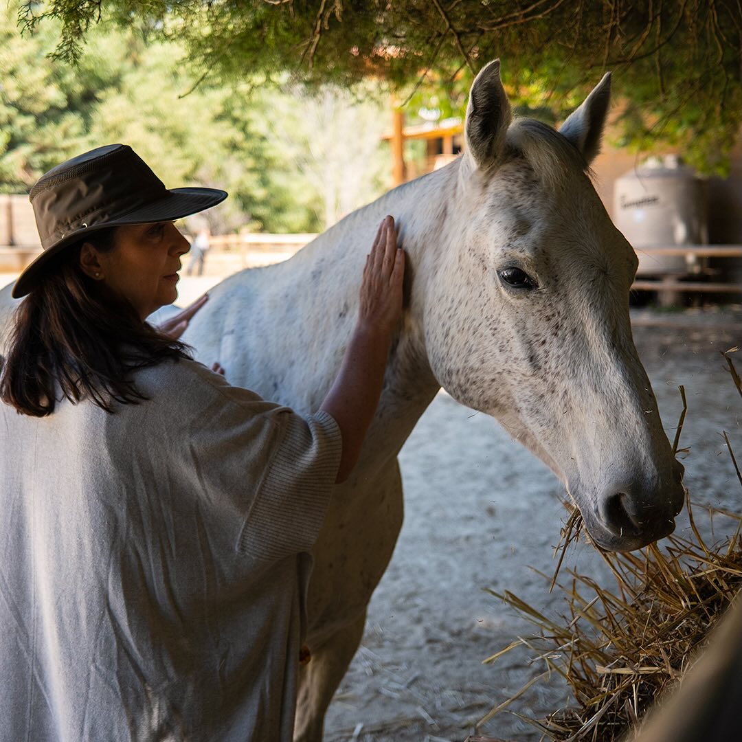 Caballos en Tierra Jiasu