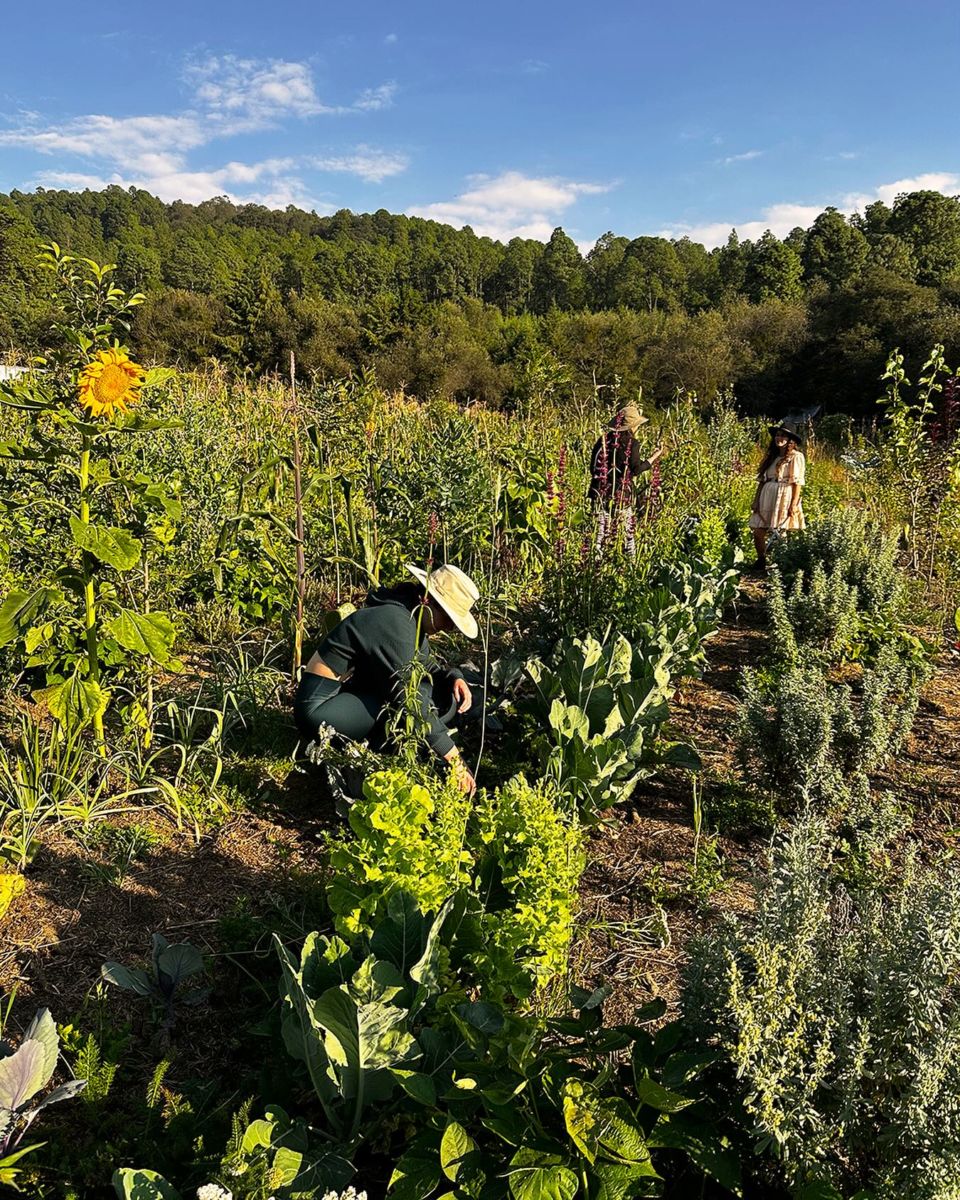 Huerto de Tierra Jiasu