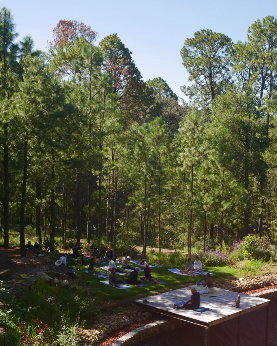 Retiros en medio del bosque