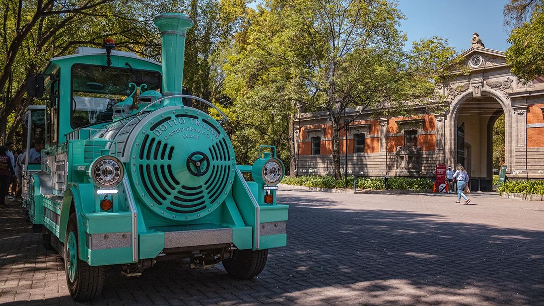 viajar en tren CDXM trenecito del Bosque de Chapultepec