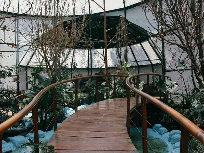 Aviario del Parque Lincoln, un santuario en CDMX