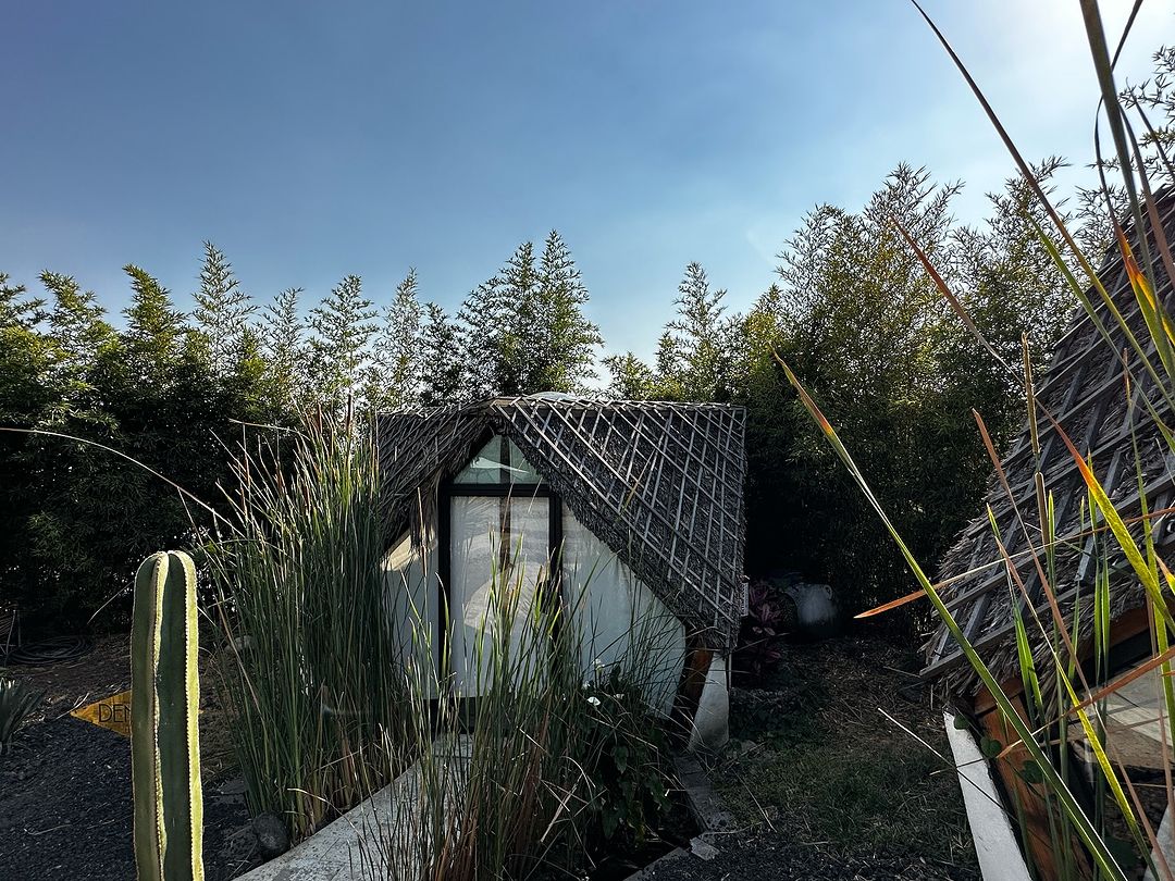 Bosque Geométrico Tepoztlán 