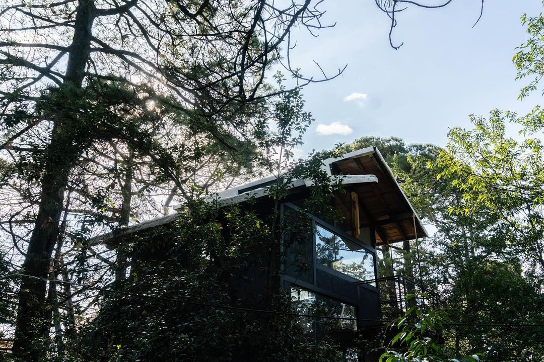 cabañas cerca de la cdmx