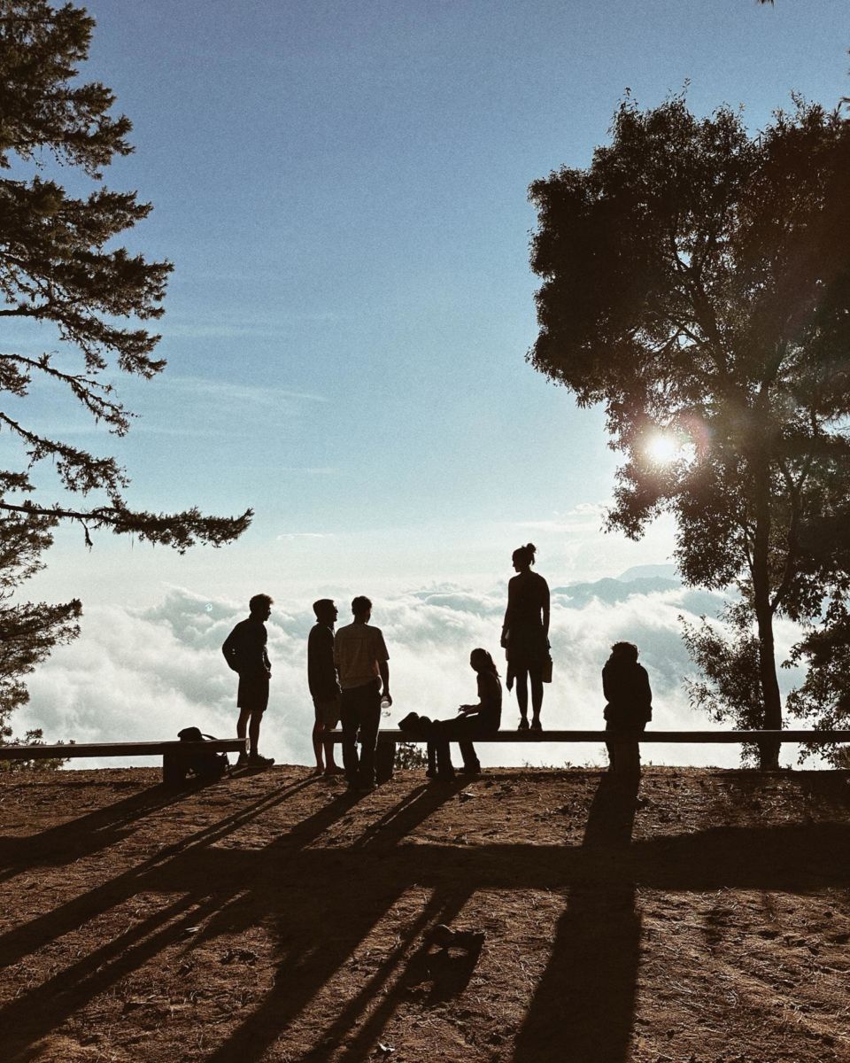 cabañas en la montaña en oaxaca