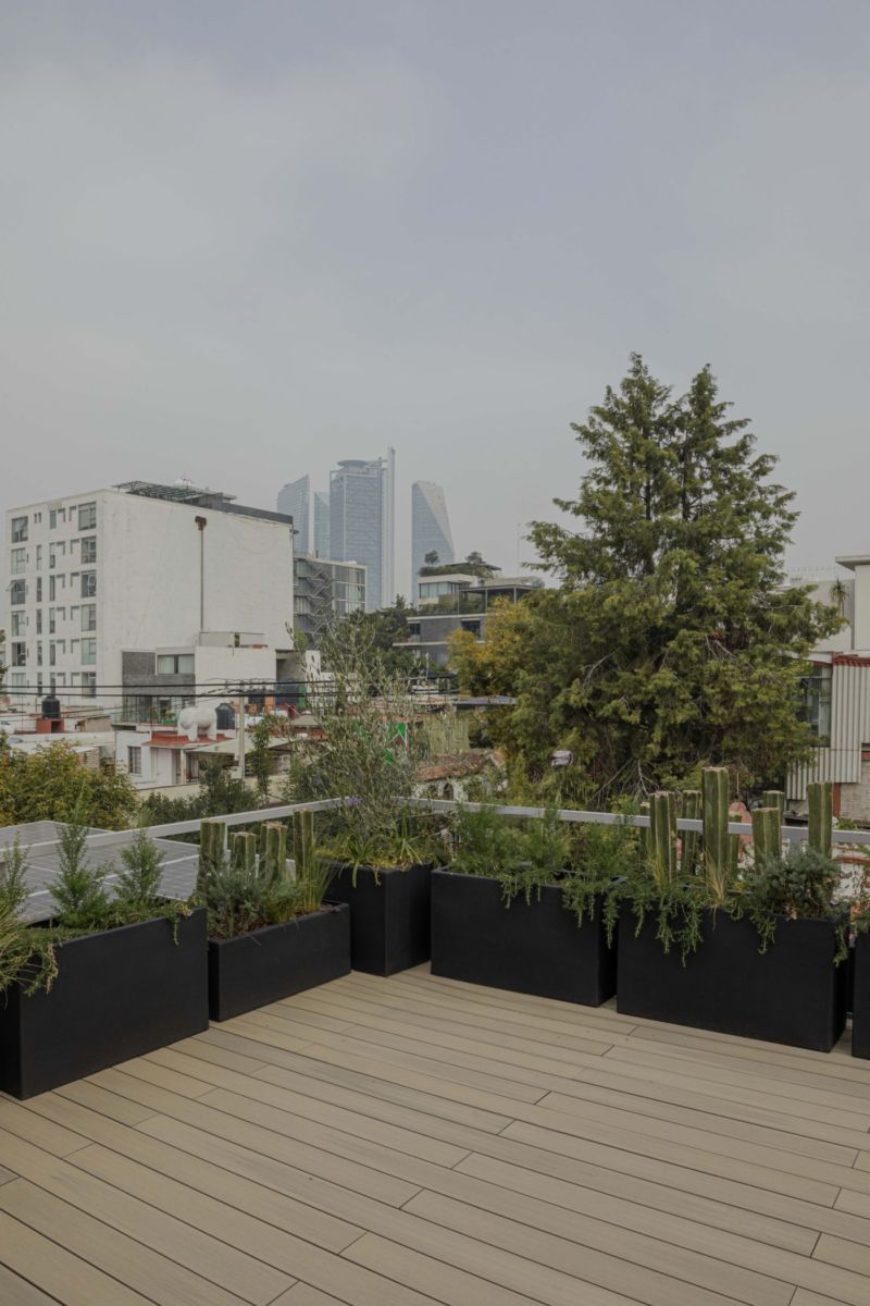 rooftops en la condesa