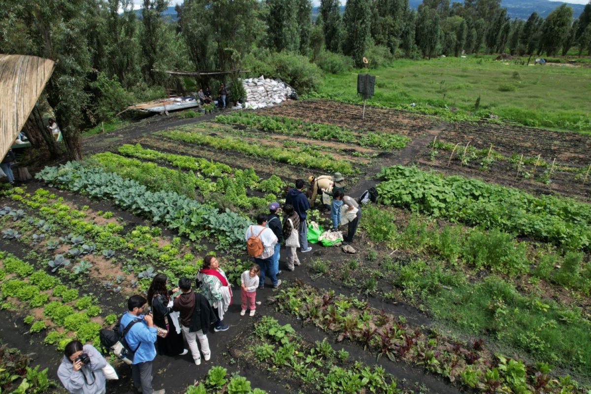 Recorridos por la Chinampa Fuego Vivo