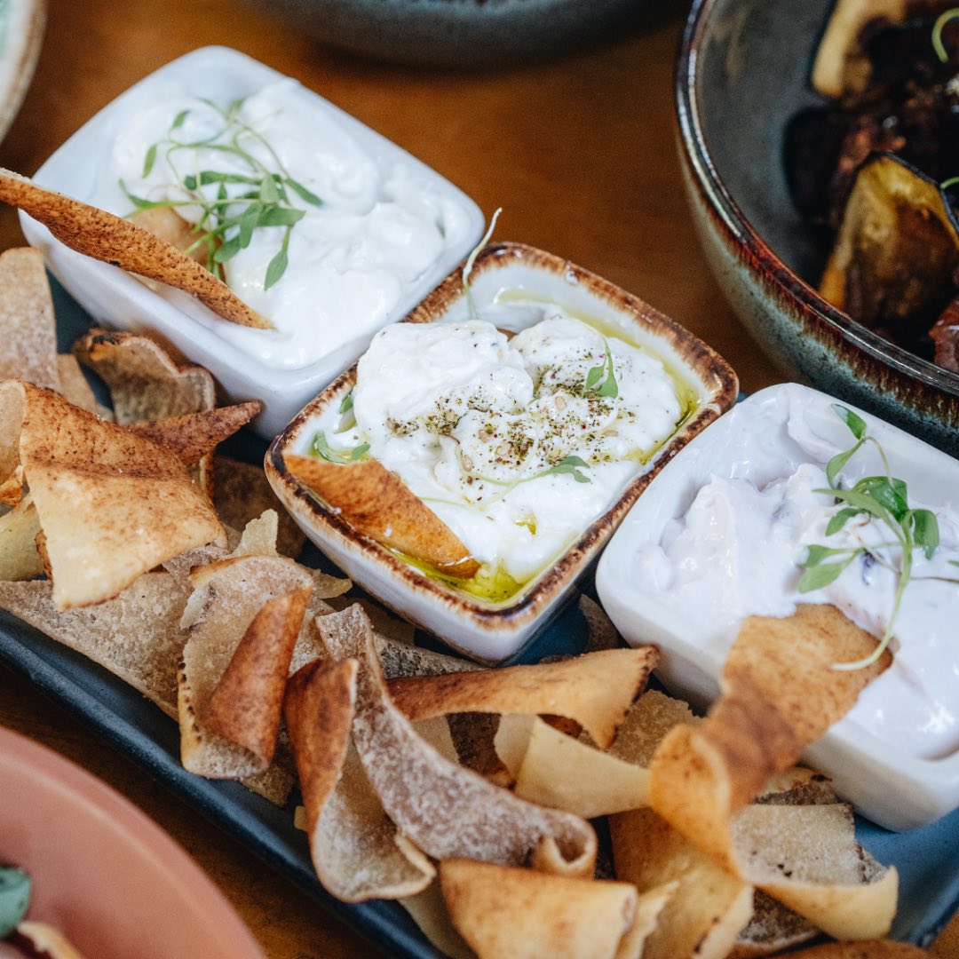 dónde comer en coyoacán
