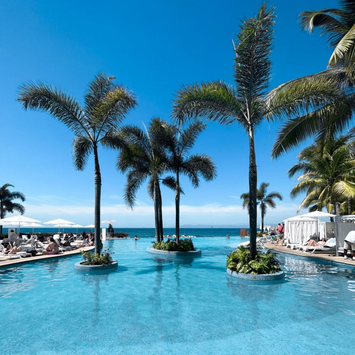 Hilton Puerto Vallarta: El hotel con grandes vistas al mar desde donde quiera que estés
