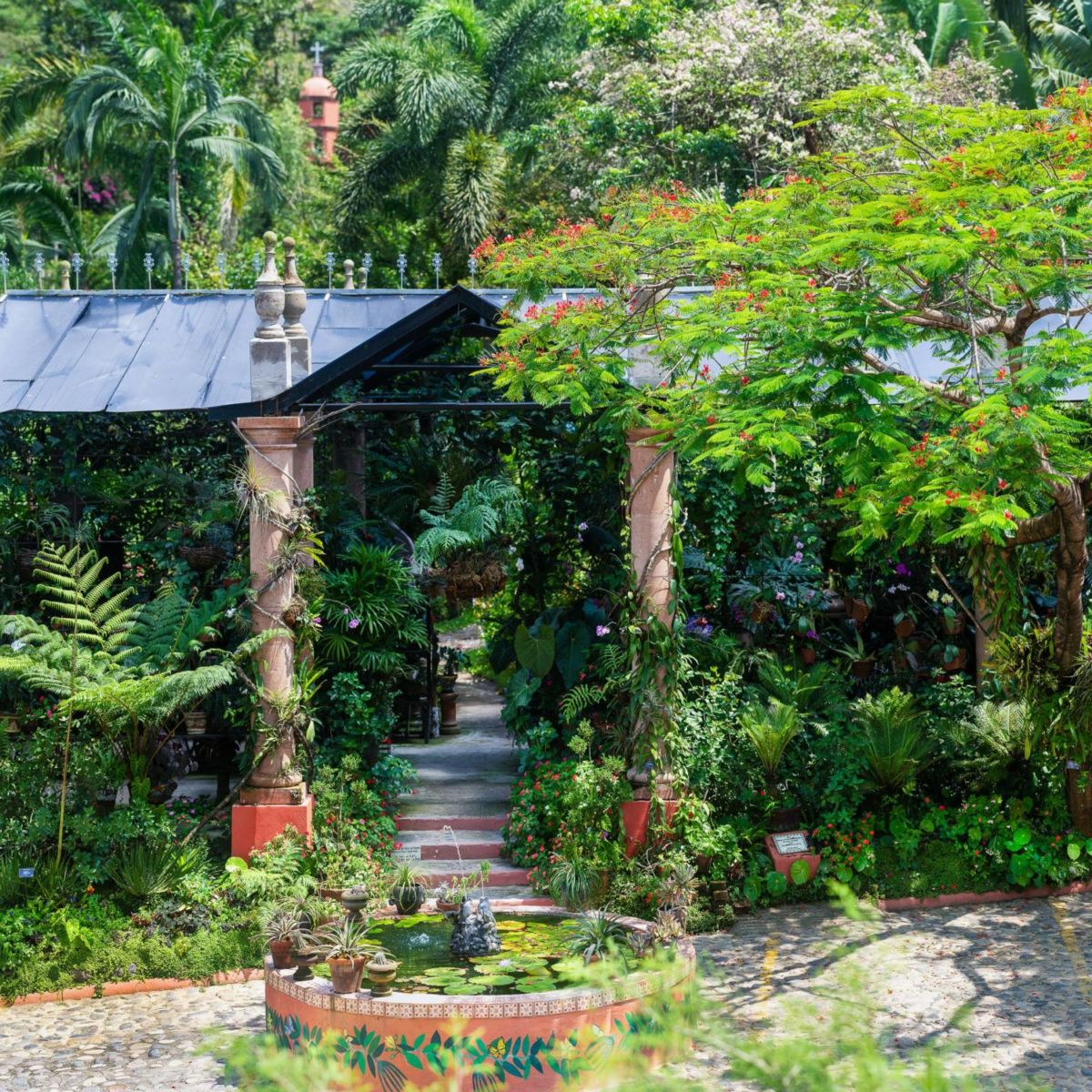 Este jardín botánico en medio de las montañas no está en Japón, sino en Puerto Vallarta