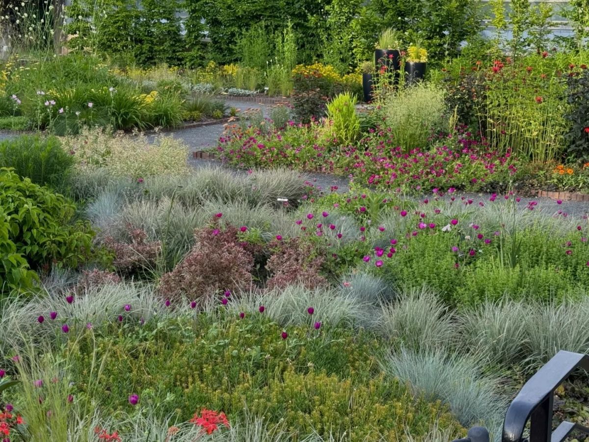 jardines Puerto Vallarta