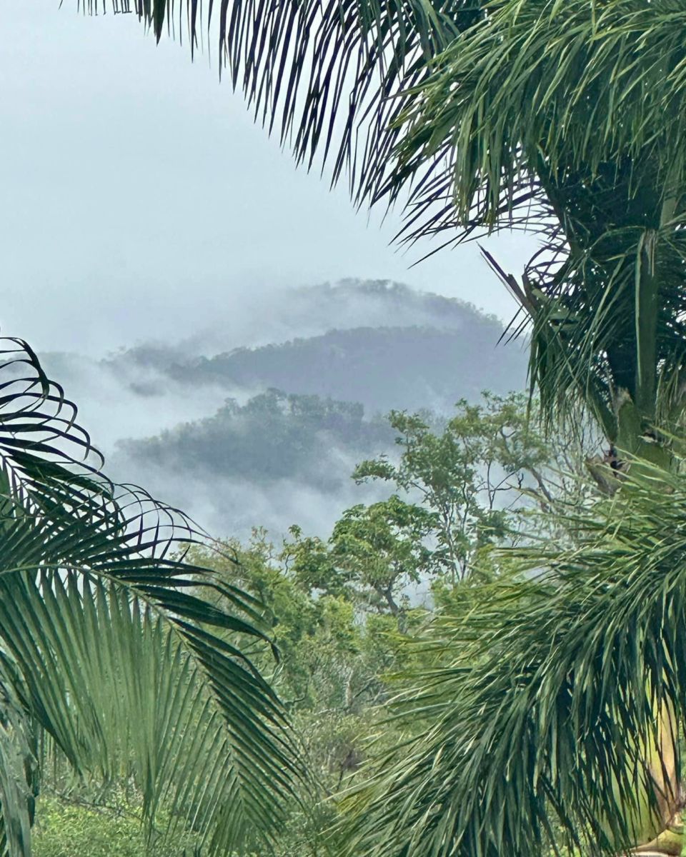 viajes a Puerto Vallarta