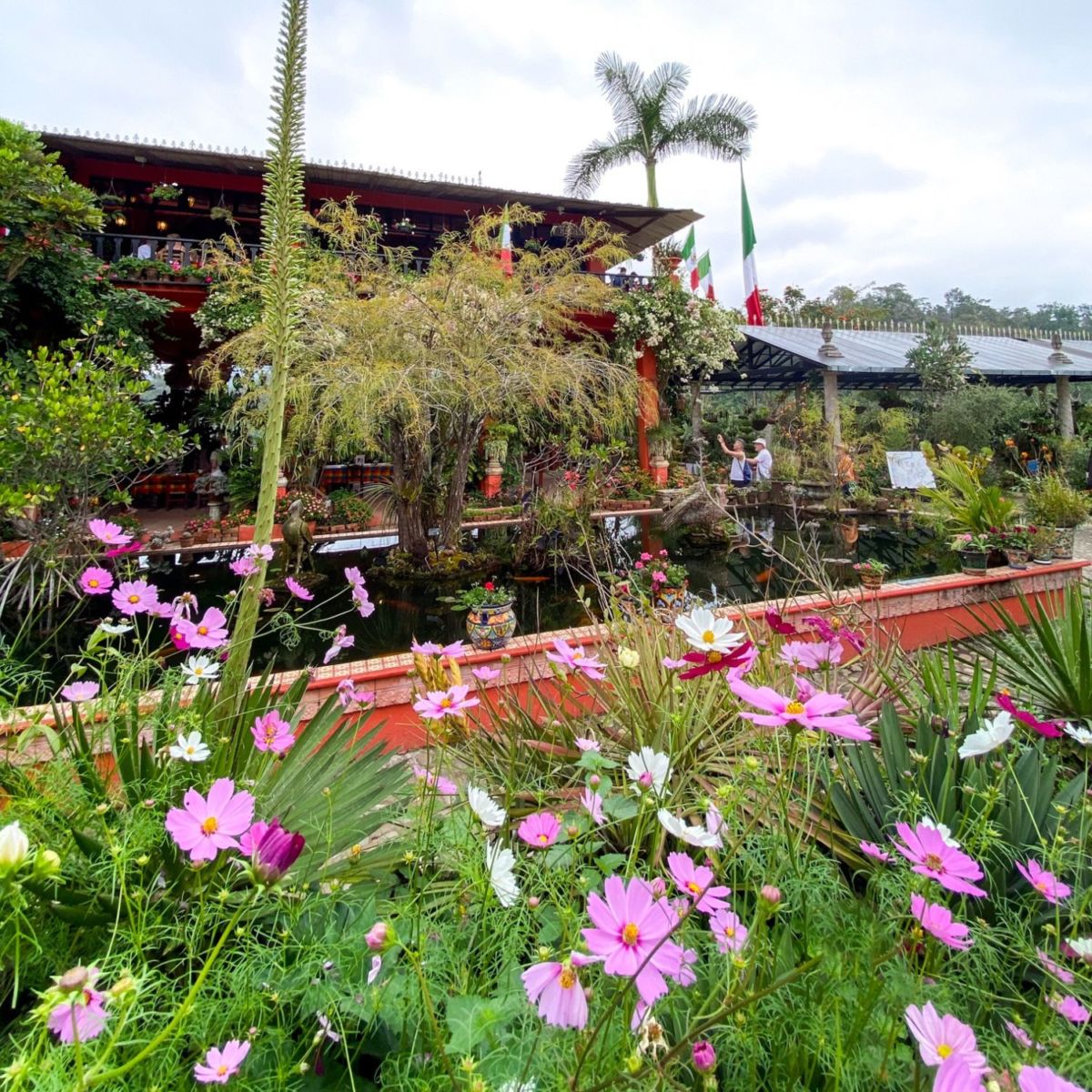 lugares cerca de Puerto Vallarta