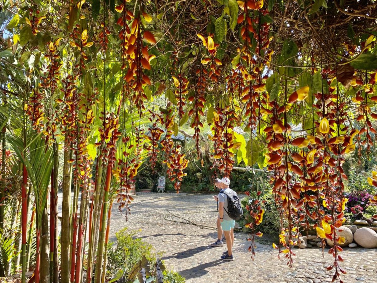 lugares cerca de Puerto Vallarta