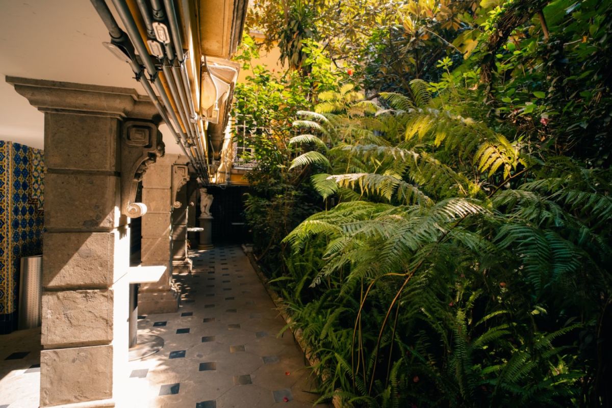 Jardín de la Casa-Museo Guillermo Tovar de Teresa en la colonia Roma