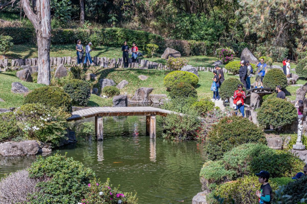 Jardín Japonés en Guadalajara