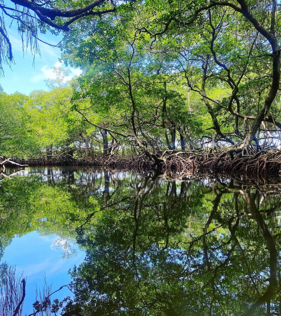 Laguna de Sontecomapan en Veracruz