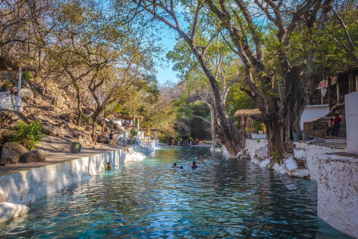 Conoce la alberca natural en Guerrero con agua cristalina para nadar entre los árboles 