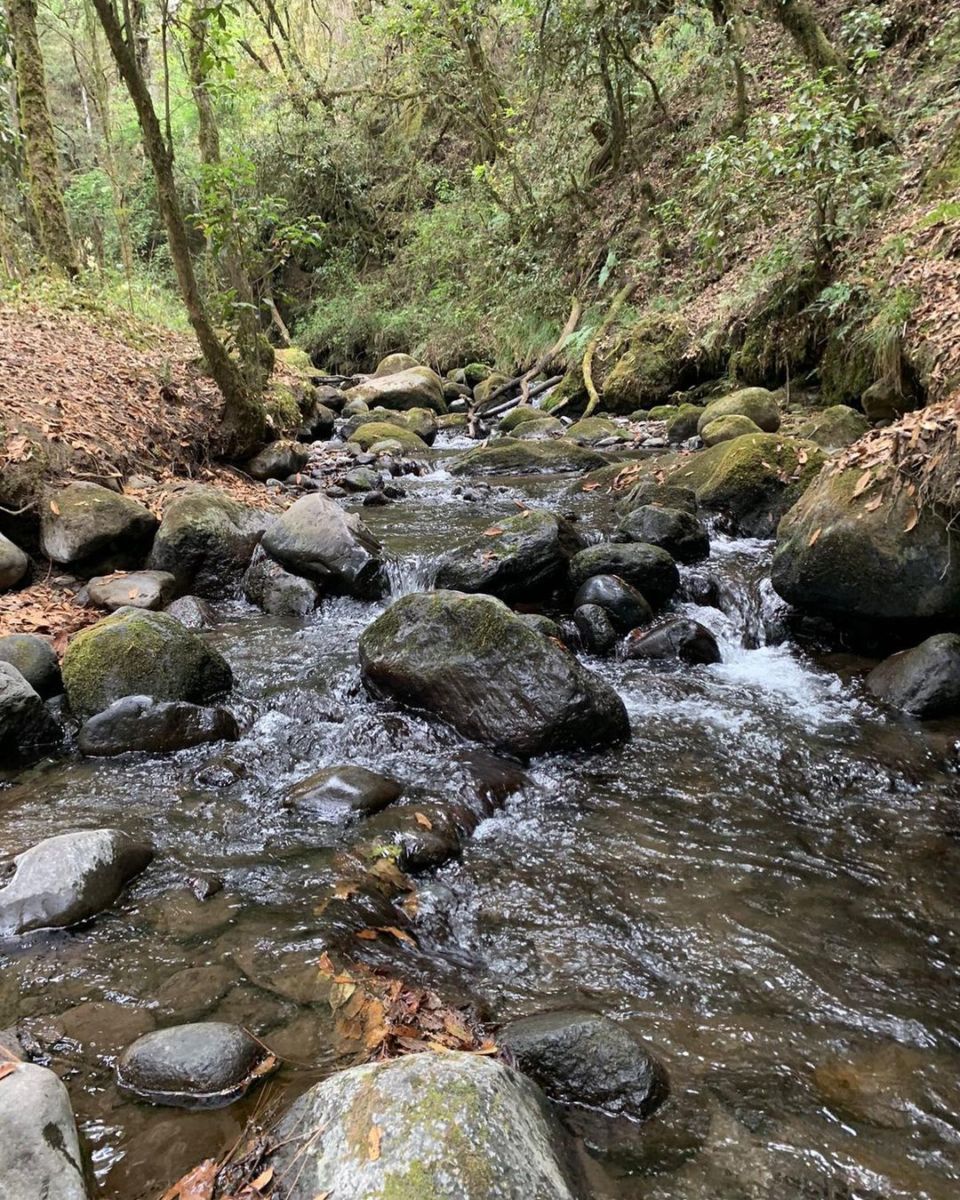 lugar para acampar cerca de la CDMX 