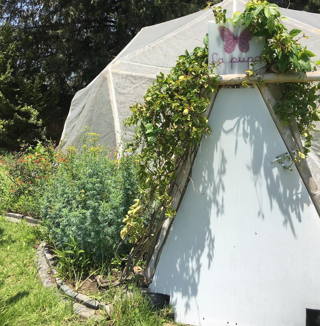 Mariposario La Pupa, santuario en CDMX