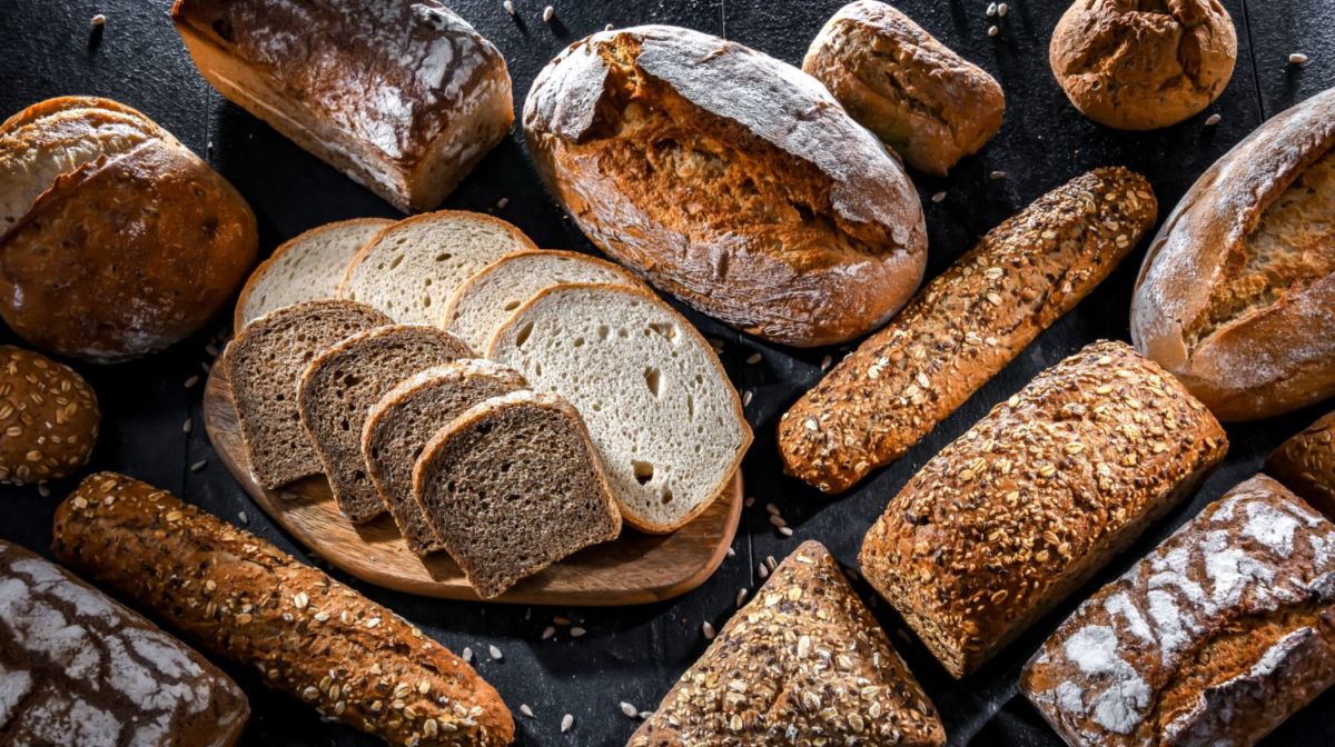 Mexipan 2024 lo mejor de la industria panadera