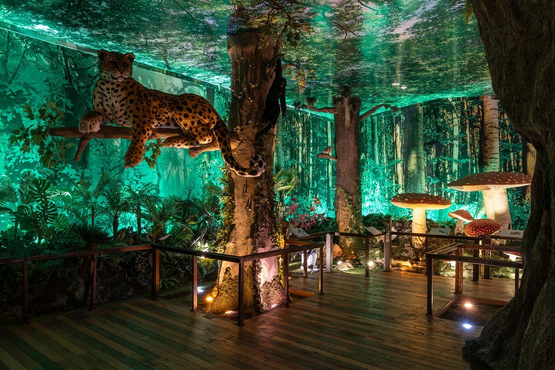 Museo Yancuic, museo gratis en CDMX