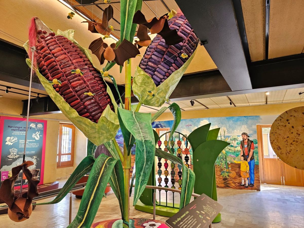 3 museos de comida en la CDMX que todo amante de la gastronomía mexicana debería visitar