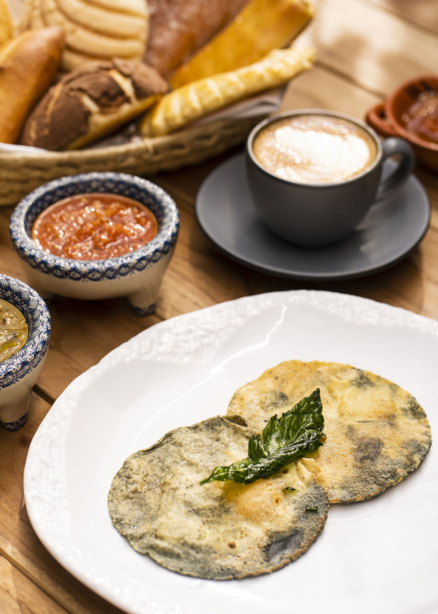 gastronomía sustentable
