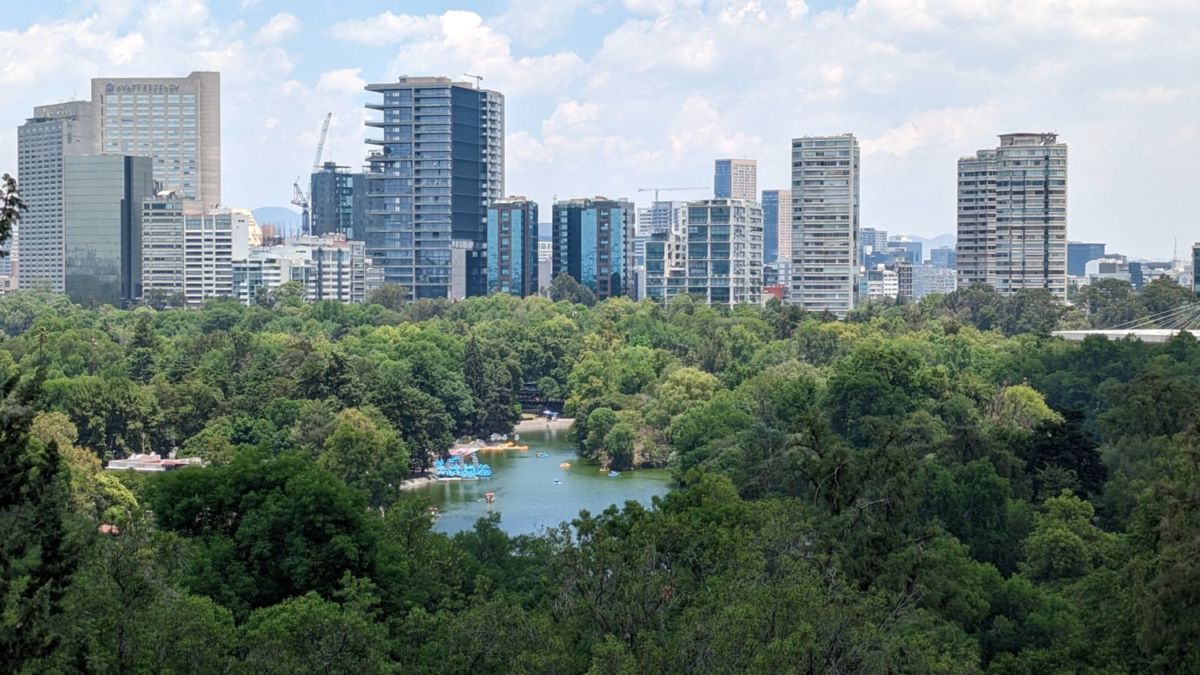 En esta cafetería encuentras las canastas más completas para hacer un picnic inolvidable en Chapultepec