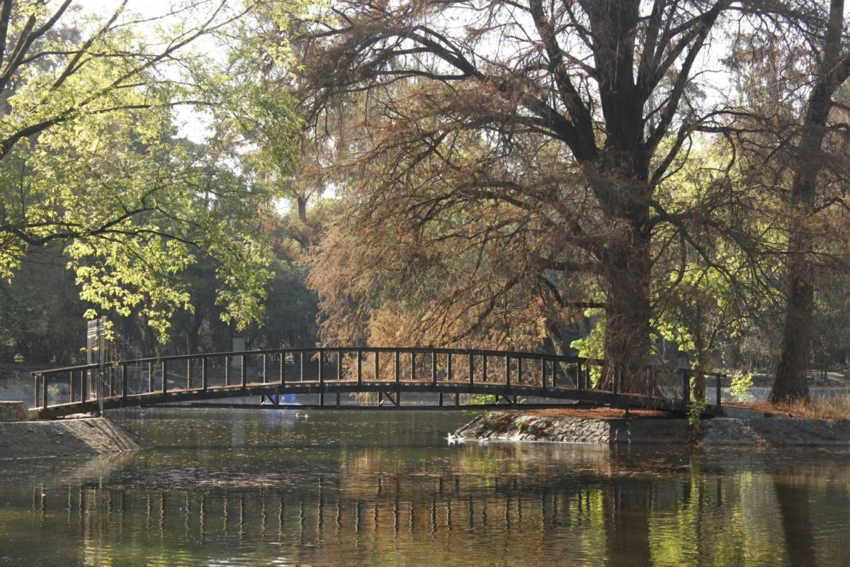 Los puentes de la CDMX: 4 opciones para pasear, tomar fotos y hacer un plan distinto
