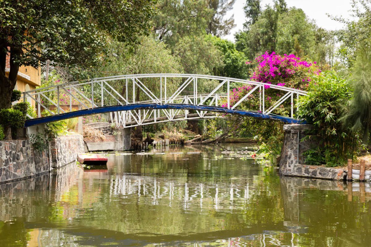 puentes de la cdmx