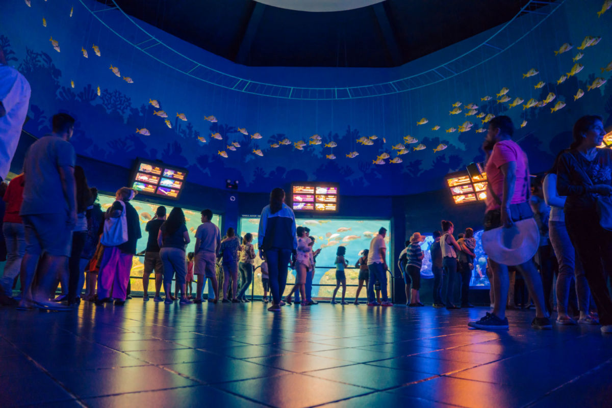 Qué hacer en el Puerto de Veracruz