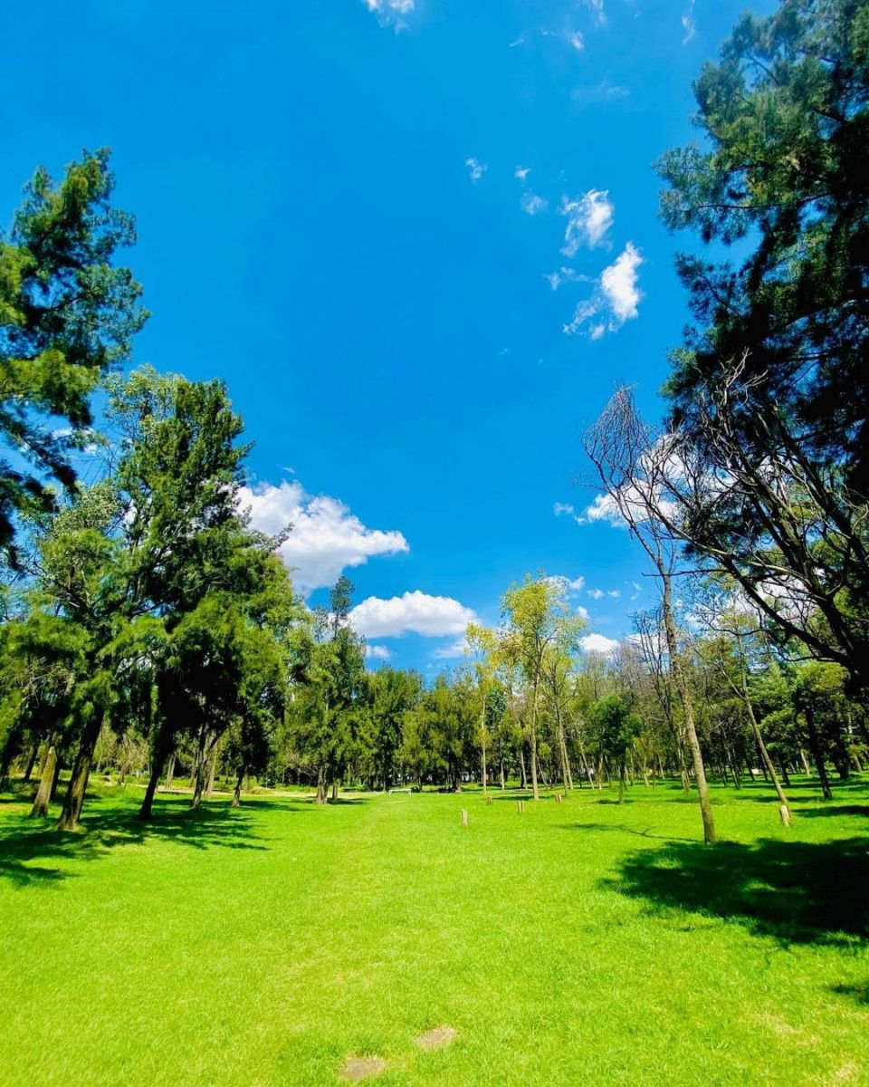 Qué hacer en Naucalpan Edomex