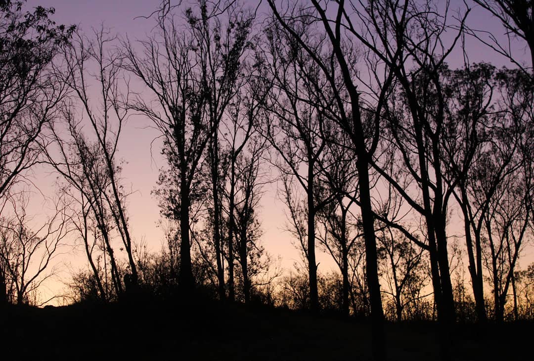 Qué hacer en Naucalpan Edomex