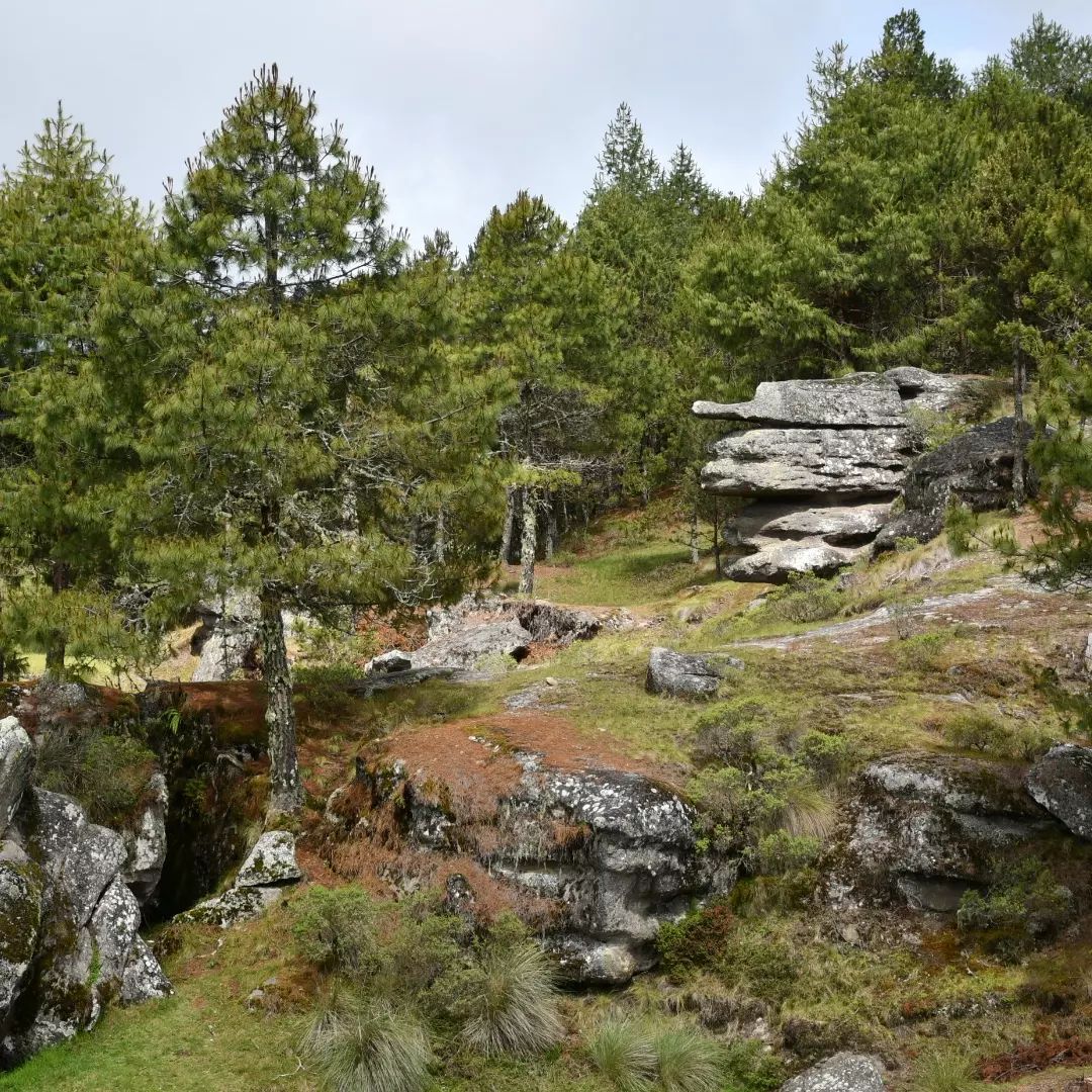 que hacer en zacatlan de las manzanas