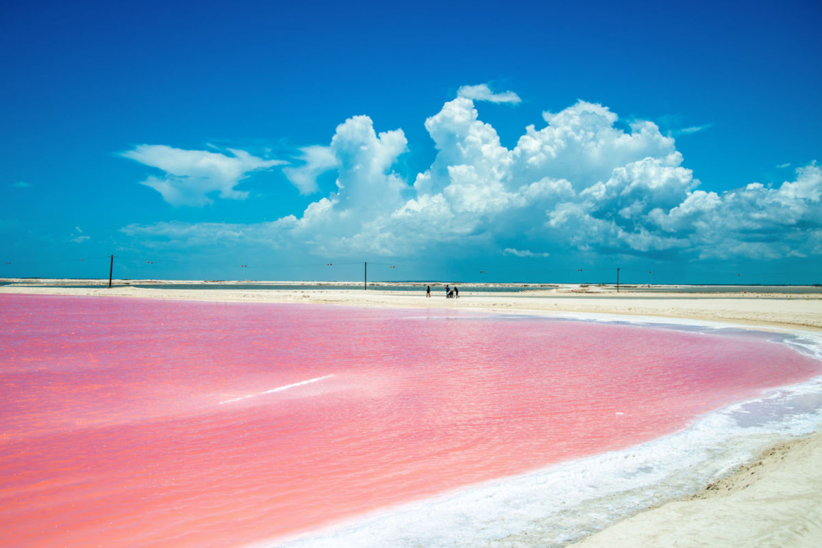 ¿De verdad es de color rosa el agua de esta playa de México? ¿Puedes nada ahí? Resolvemos tus dudas