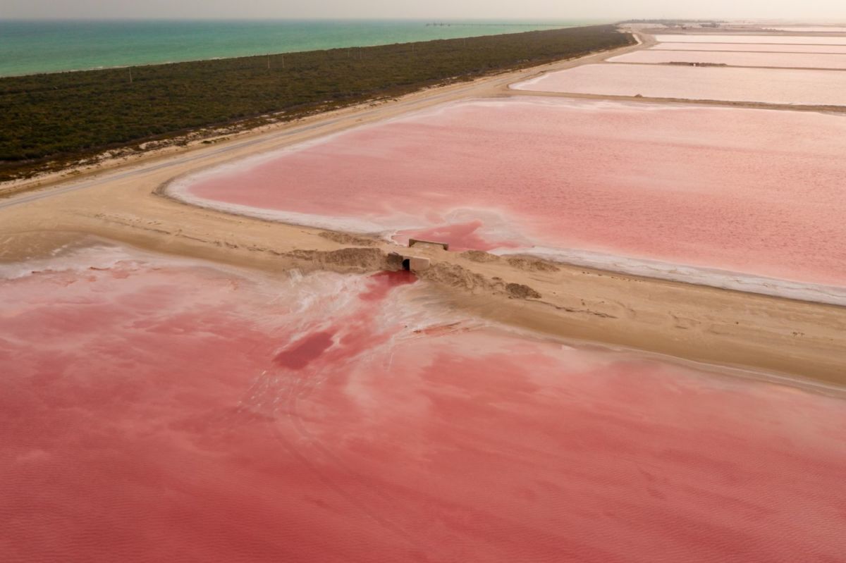 Playa rosa en Yucatán