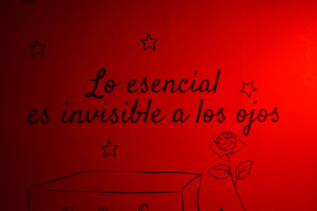 Todo sobre la experiencia inmersiva del Principito en Cdmx