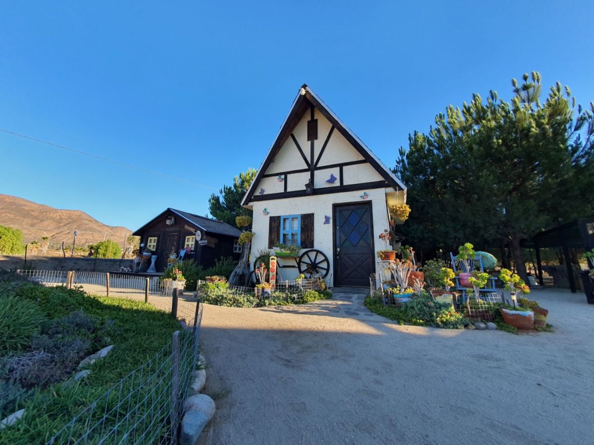 Valle de Guadalupe en Baja California, pueblo chiquito para comer extraordinario